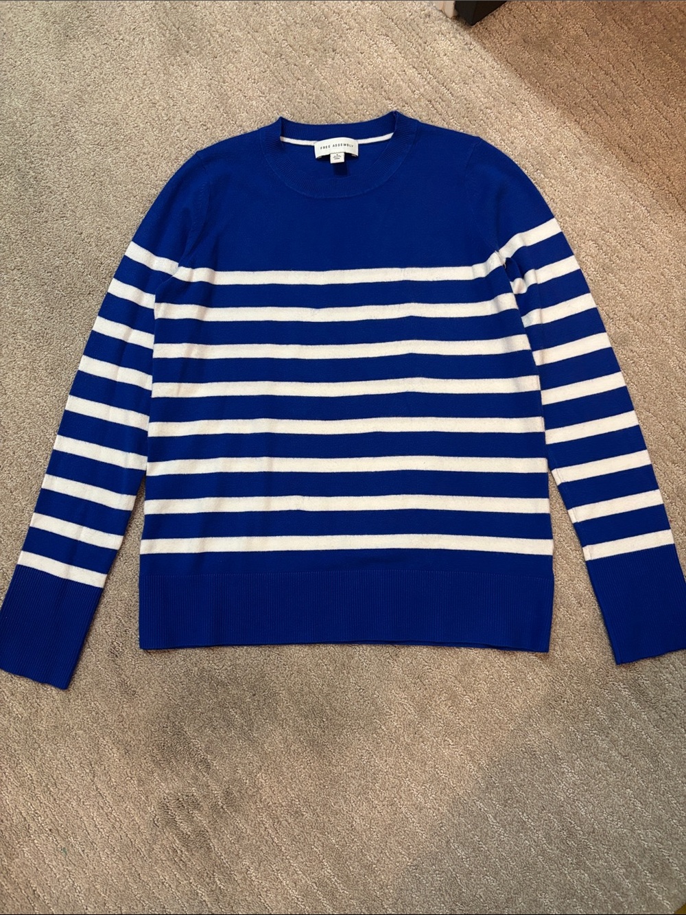 Free Assembly sweater